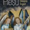 «Despre ingeri» de Andrei Plesu