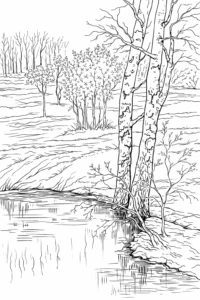 Peisaj de colorat cu copaci pe malul unui lac și câmp deschis, desen natural pentru imprimat.